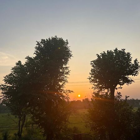 Bungalow Resort - Sigiriya Dış mekan fotoğraf