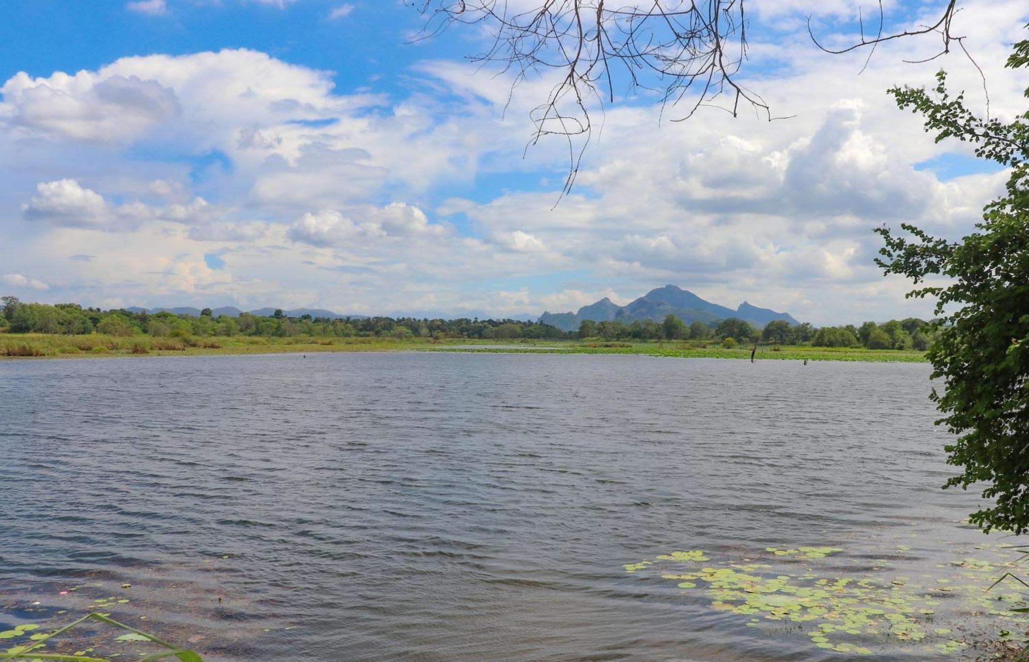 Bungalow Resort - Sigiriya Dış mekan fotoğraf