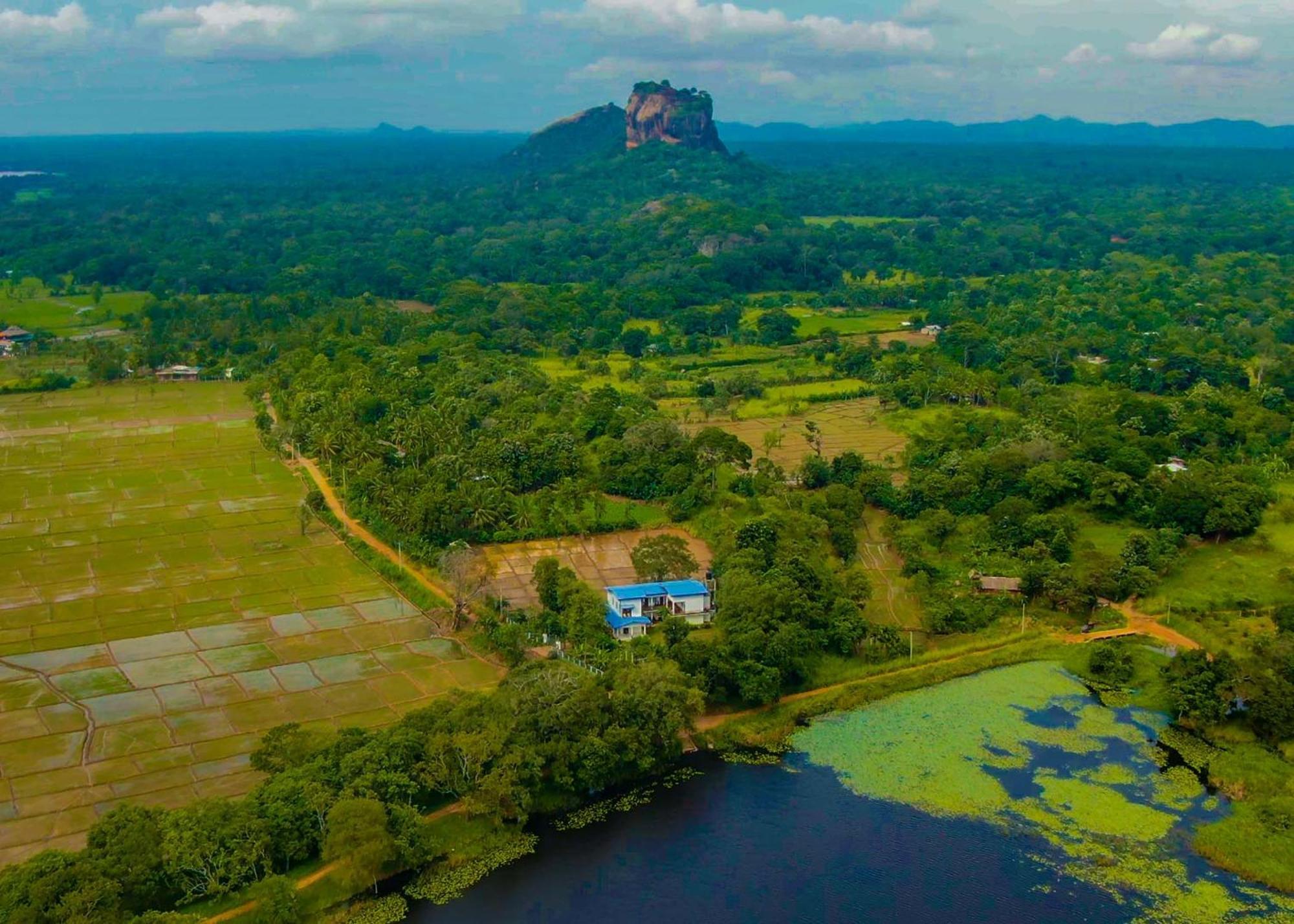 Bungalow Resort - Sigiriya Dış mekan fotoğraf