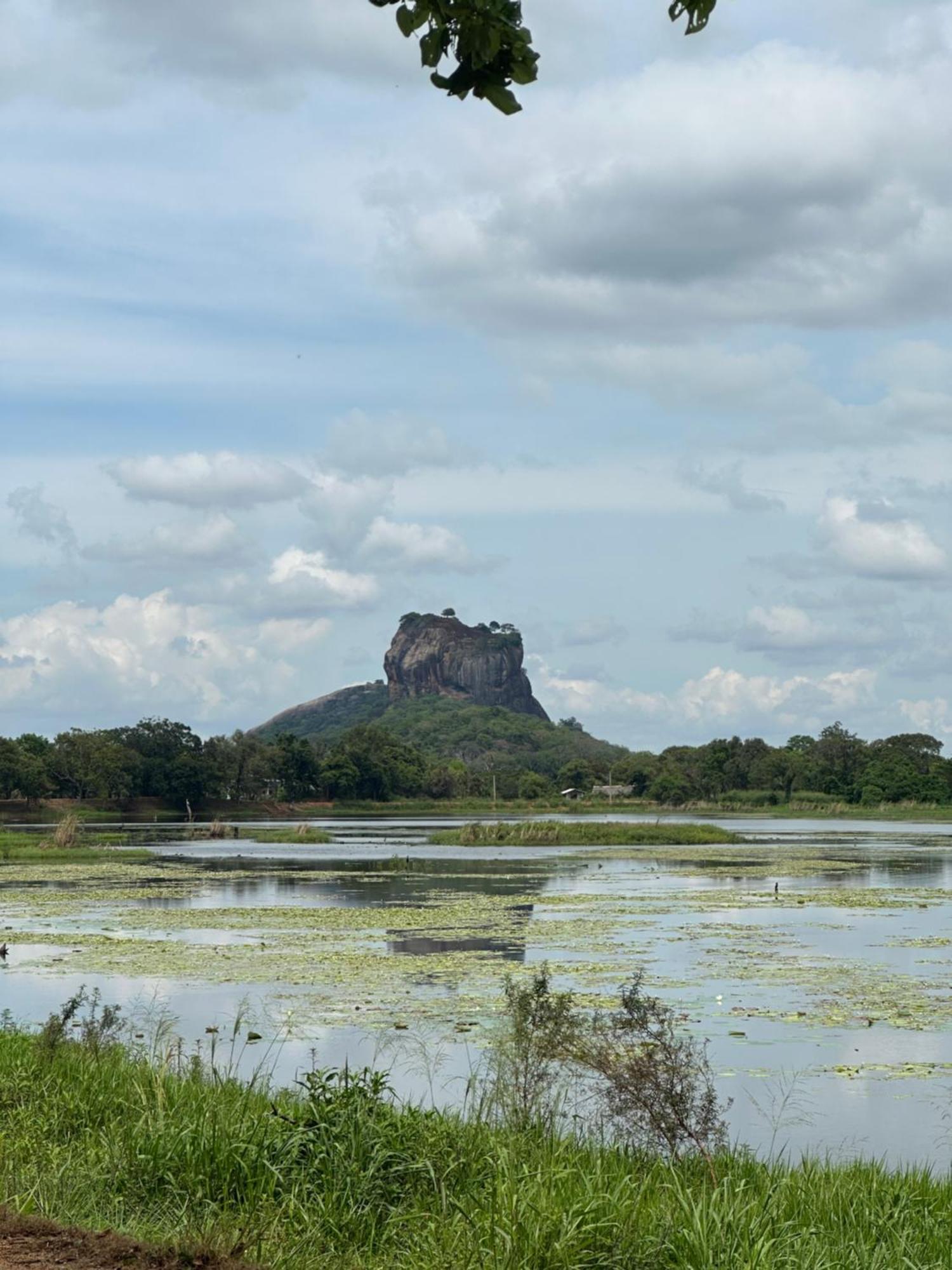 Bungalow Resort - Sigiriya Dış mekan fotoğraf