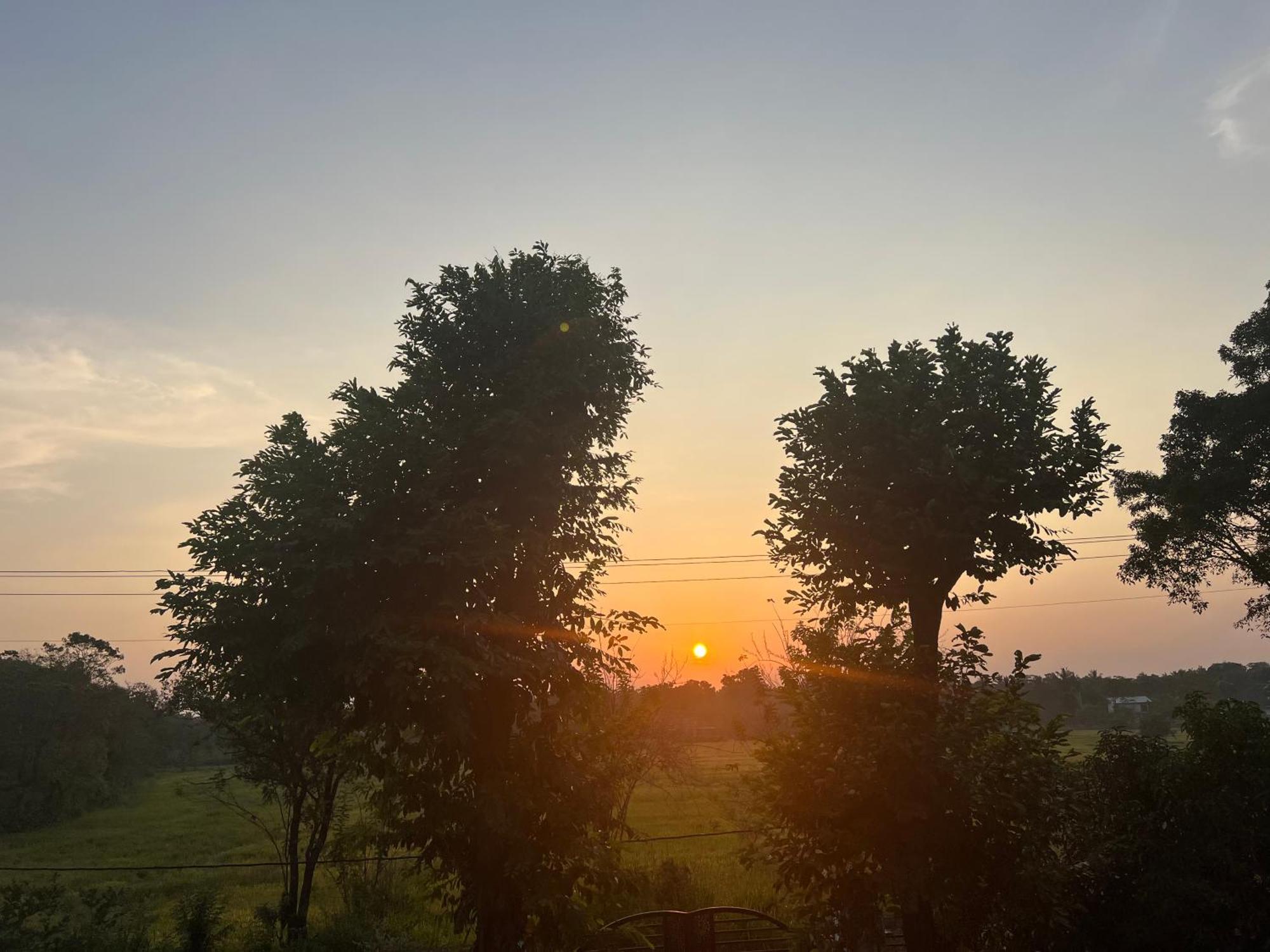 Bungalow Resort - Sigiriya Dış mekan fotoğraf